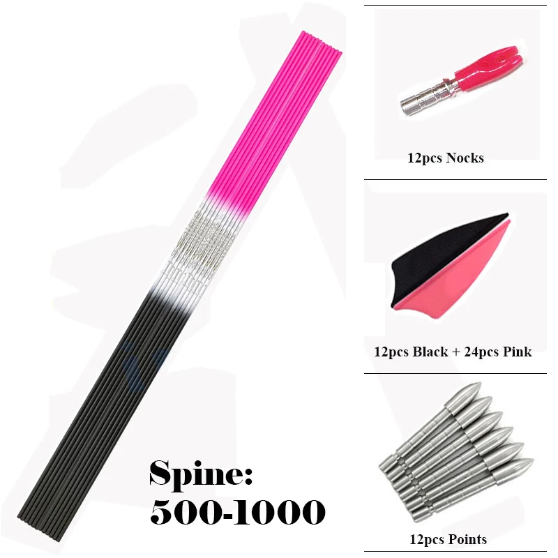 

Archery Spine 500 600 700 800 900 1000 Carbon Arrow Shafts Vanes Points for Compound Recurve Bow Longbow Hunting 12Set
