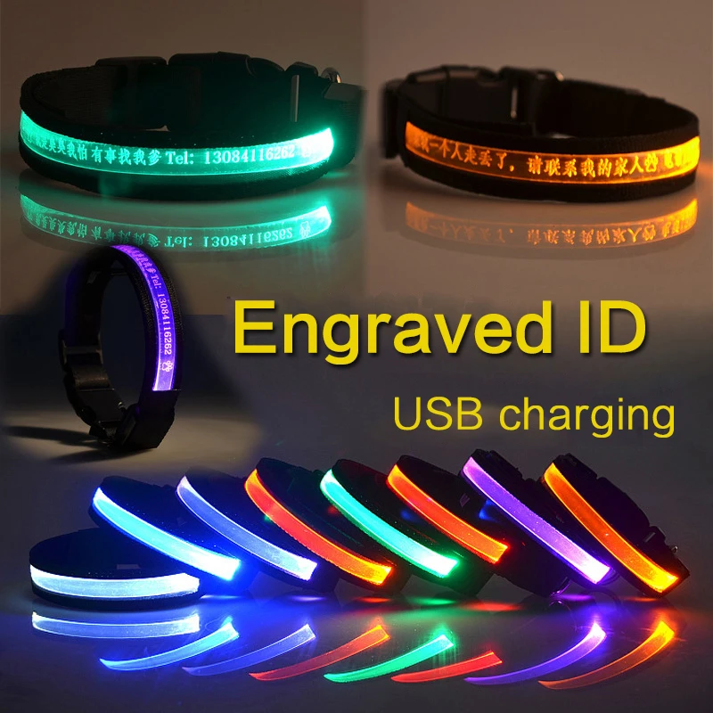 Dog Collar ID Personalized Usb Charging LED Pets Dog Tag Collar Light  Engraved Id Custom Puppy Cat Nameplate Nylon Accessories