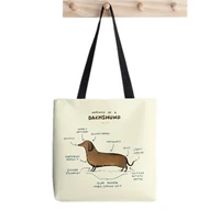 2021 shopper anatomy of a dachshund painted tote bag women harajuku shopper handbag girl shoulder shopping bag lady canvas bag