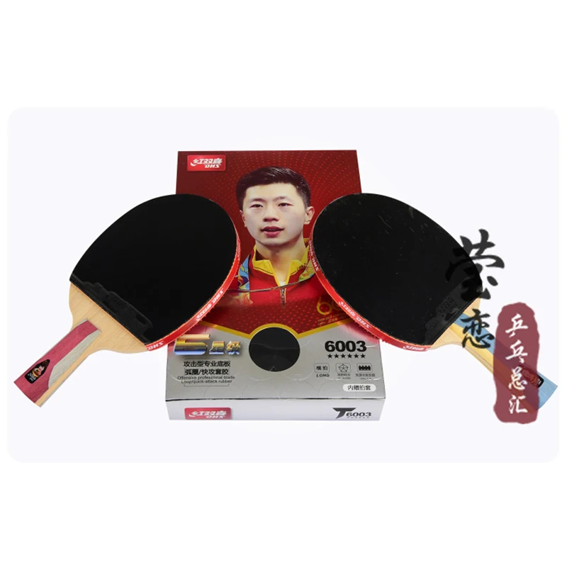

Original Dhs 6003 6007 (6 Star) Fl Long Handle Table Tennis Racket With Case Racket Sports Indoor Sports Pimples Out