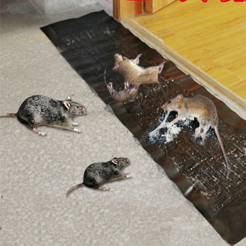 Клейкая ловушка для мыши 1 2 м клейкая крыс доска мышей Нетоксичная борьбы с