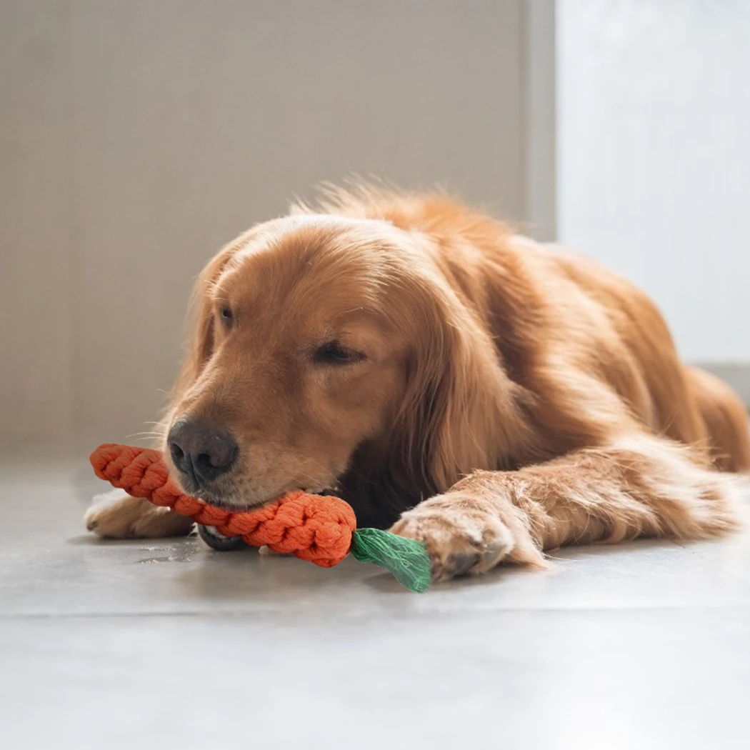 

Pet Supply High Quality Pet Dog Toy Carrot Shape Design Rope Puppy Chew Teath Cleaning Supplies Pet Dogs Fun Training Plaything