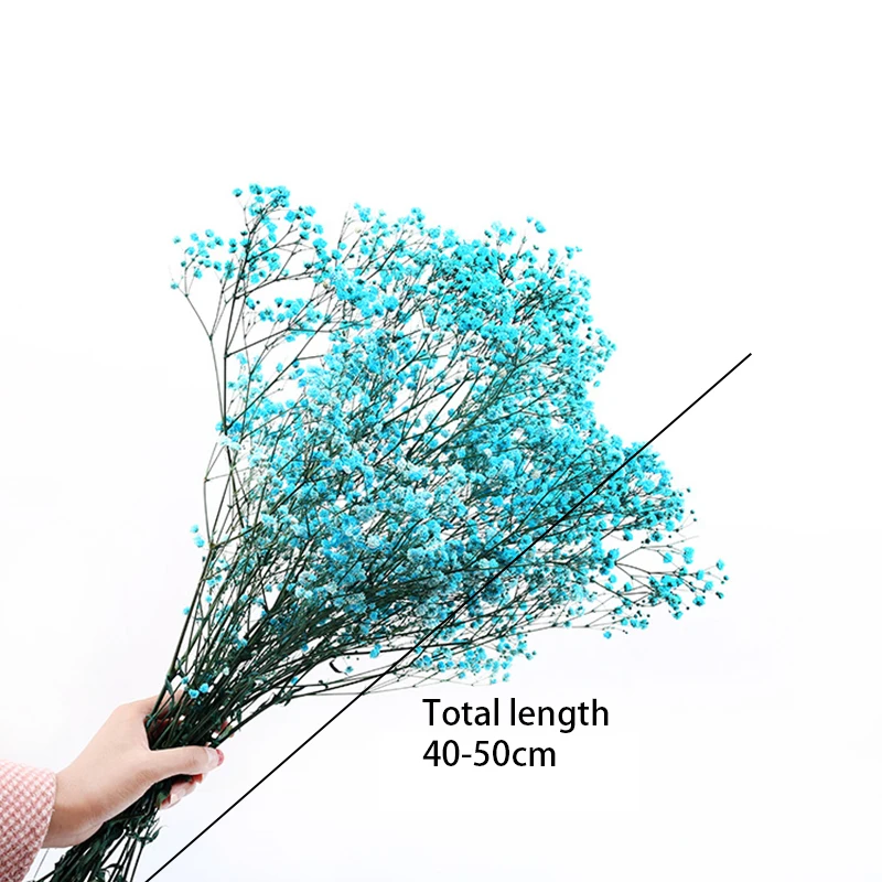 

YOMDID Natural Fresh Dried Preserved Flowers Gypsophila Paniculata, Baby's Breath Flower Bouquets Gift for Wedding Decoration
