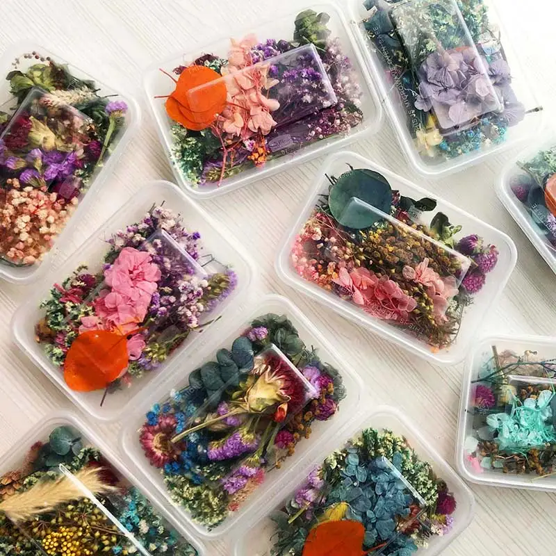 

Mixed Beautiful Real Dried Flower Natural Floral for Art Craft Scrapbooking Resin Jewelry Craft Making Epoxy Mold Filling