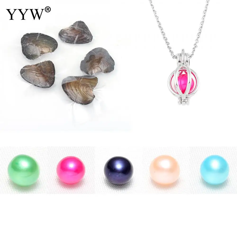 Новинка 5 шт./лот Эдисона жемчуга Oyster Pearl Mussel с 1 ожерельем многоцветные Размер 7-8