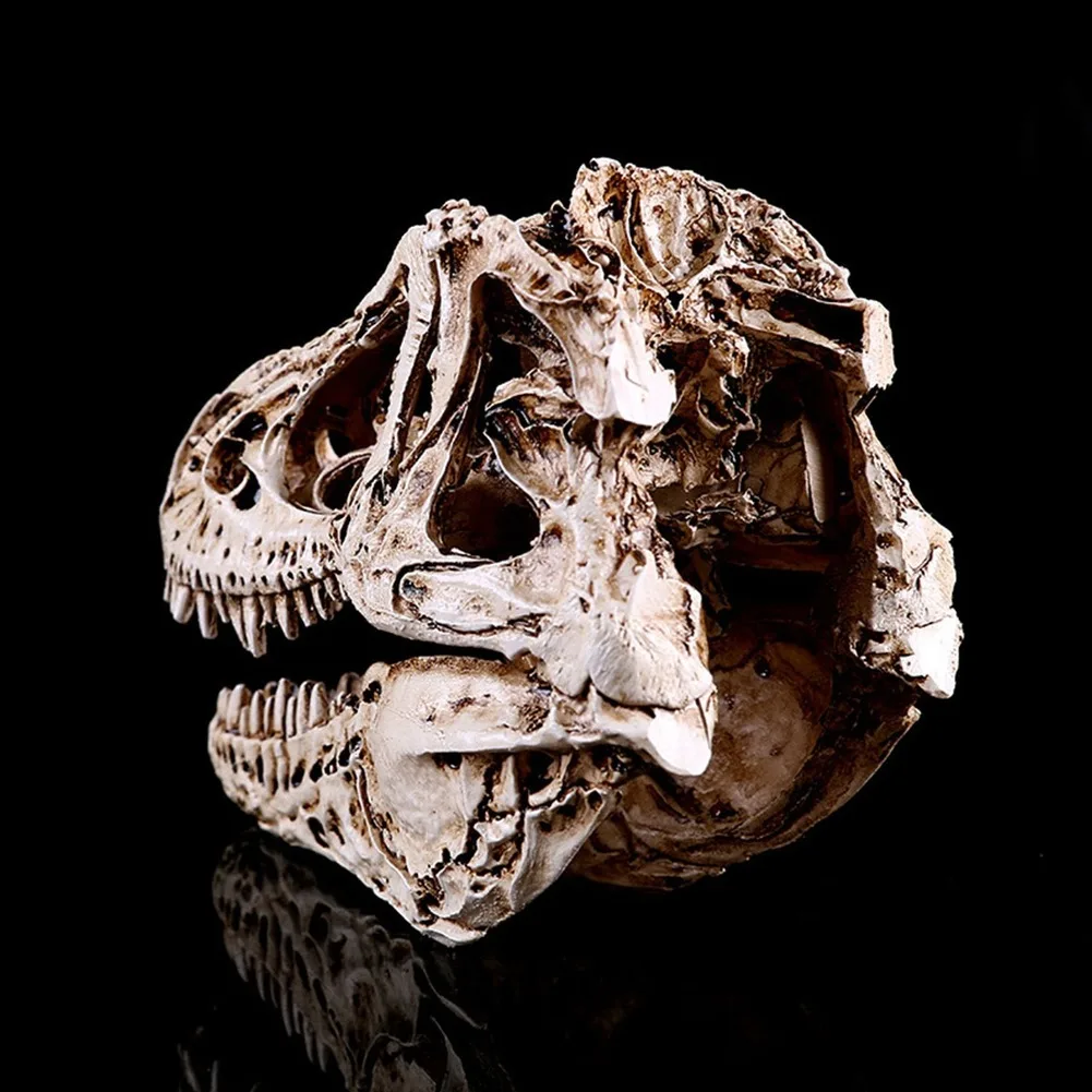 Смола динозавр зуб череп обучающий скелет модель домашнего офиса украшение