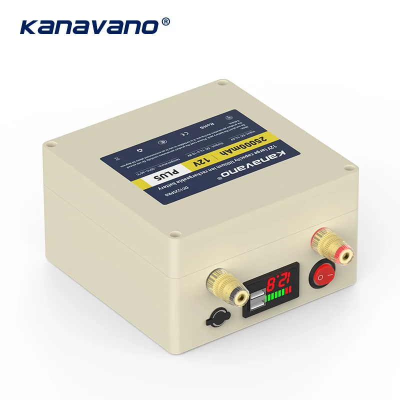 12V 25AH LifePO4 аккумулятор с BMS для 12,8 V 25000mAh резервный внешний аккумулятор солнечная панель энергии Портативный с 4A зарядным устройством