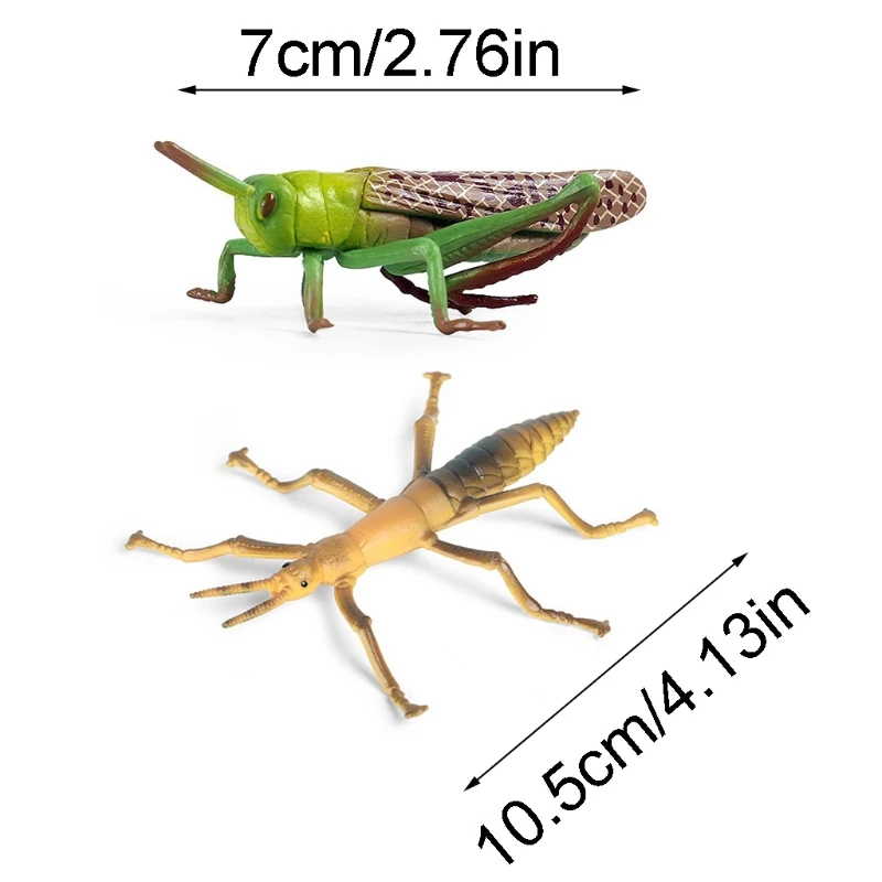 

Simulation Solid Static Animal Model Ornaments Realistic Locust/Stick Insect Children Educational Prop Scene Decoration