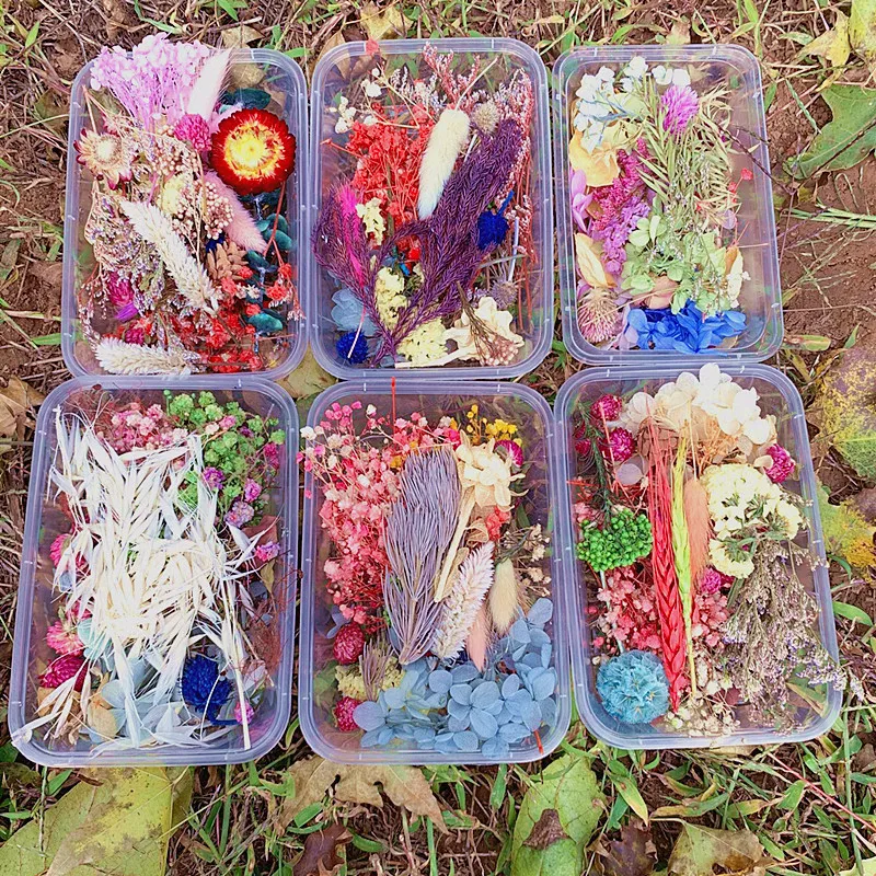 1 шт. Набор для творчества | Дом и сад