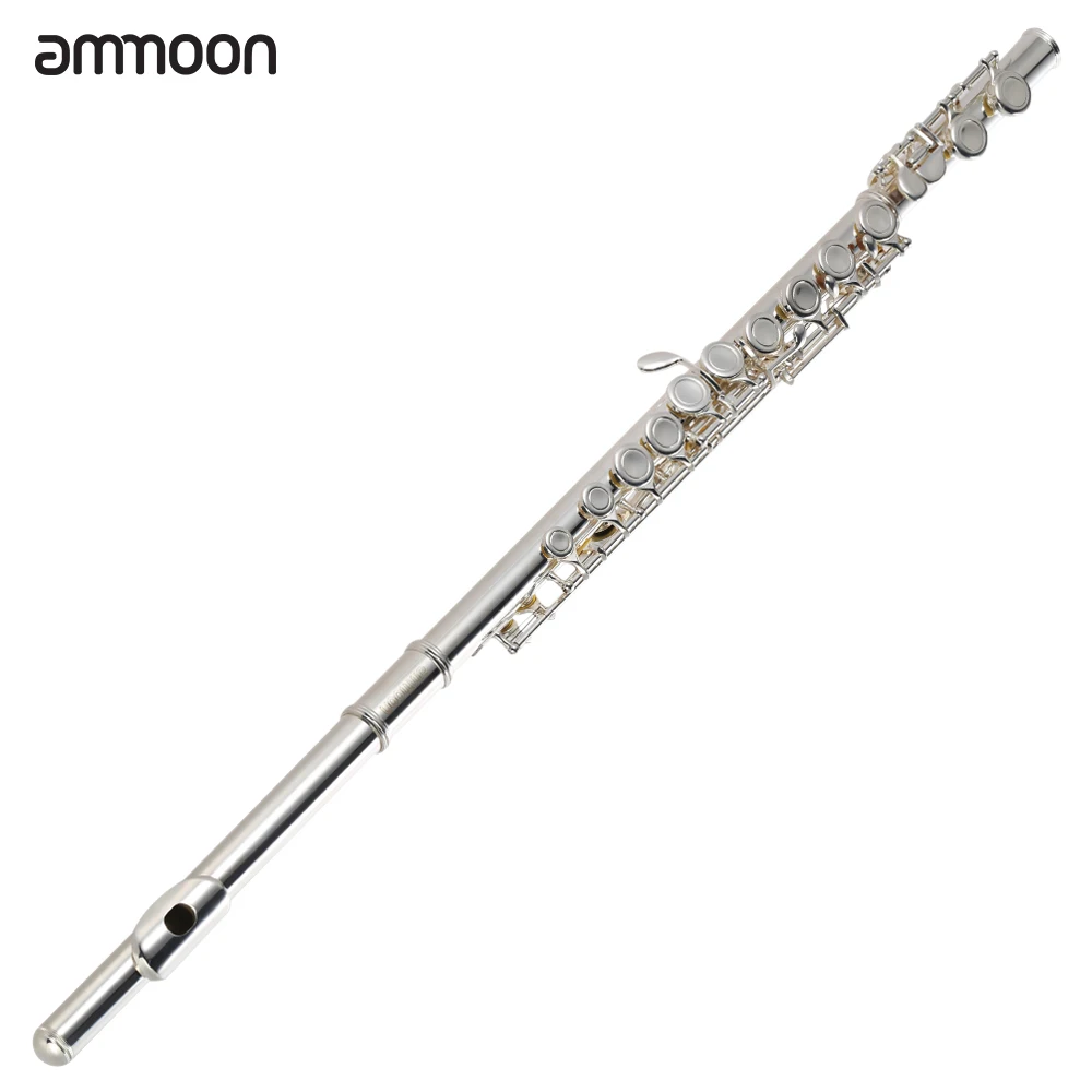 

ammoon High Quality C Key Flute Cupronickel Silver Plated 16 Closed Holes with Case Screwdriver Wind Instruments for Beginner