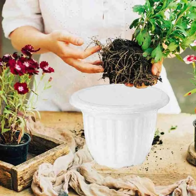 

10/20pcs Flower Pot Orchid Clear Flower Pot Plastic Breathable Orchid Slotted Pot Flower Succulent Pots Pots Flower Plastic R2C5