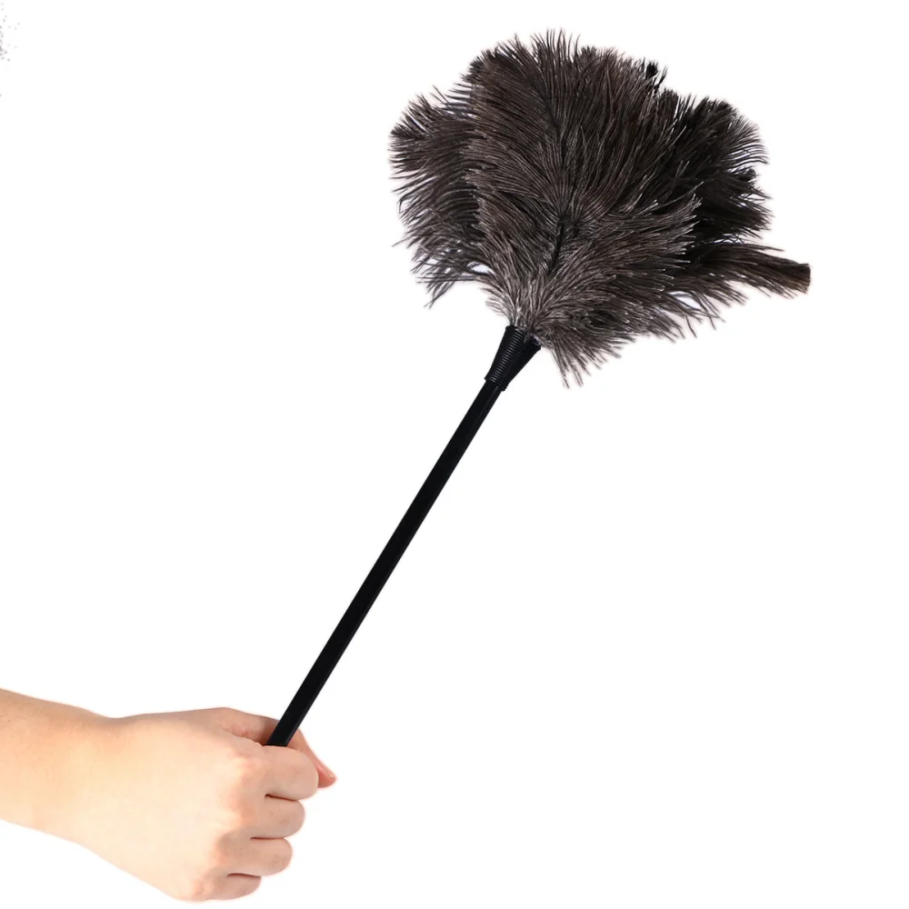 

BESTOMZ Duster Feather Dusters with Long Handle Cleaning Brush Tool