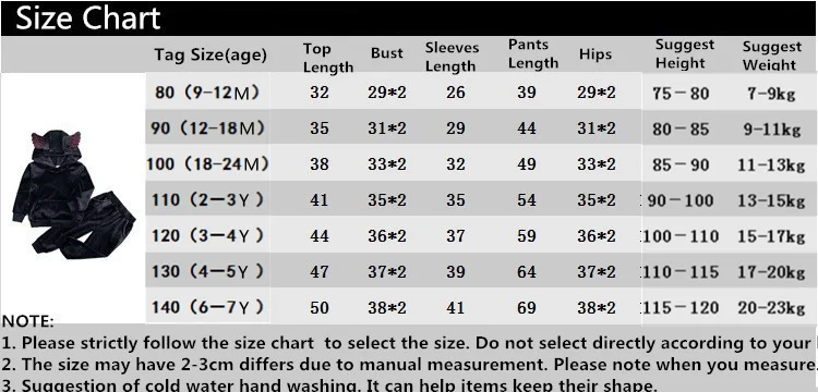Костюм спортивный детский из Толстовки и брюк на весну/осень | Детская одежда