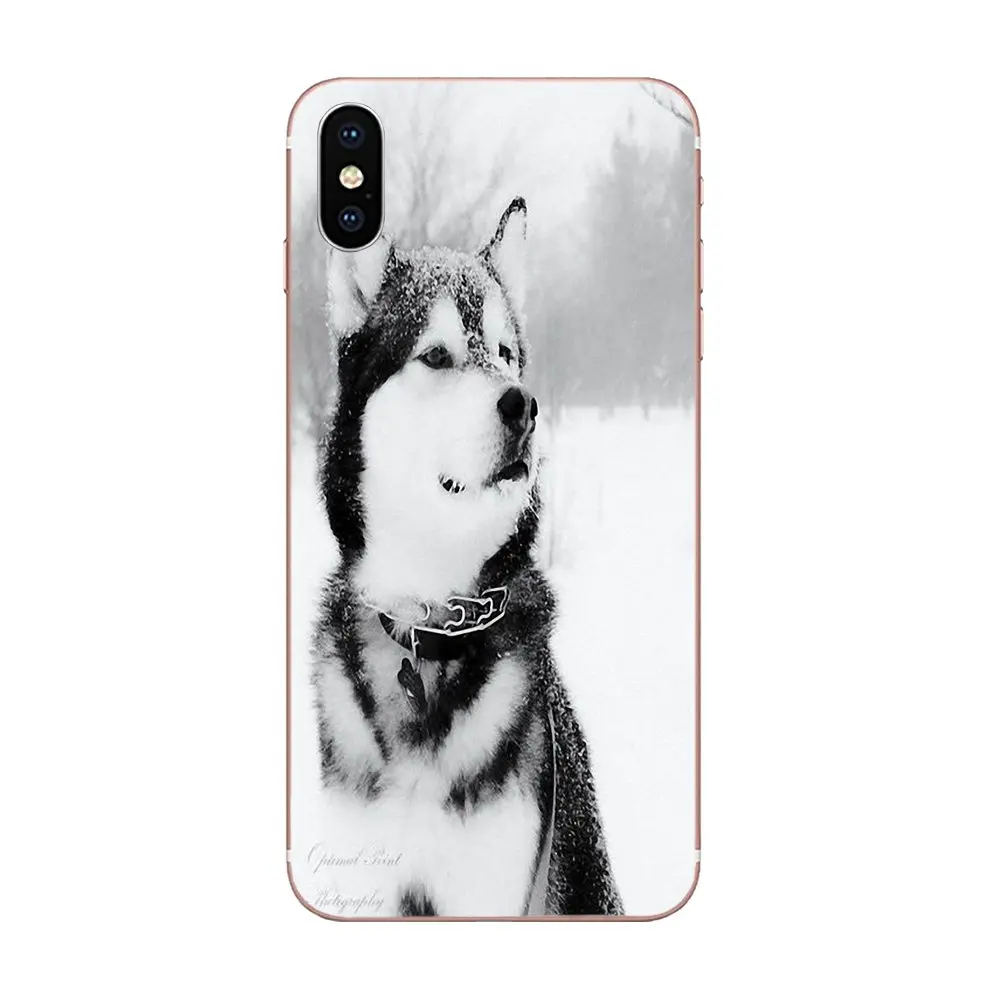 TPU сотовый телефон для samsung Galaxy Note 5 8 9 S3 S4 S5 S6 S7 S8 S9 S10 5G mini Edge Plus Lite Siberian Husky милые