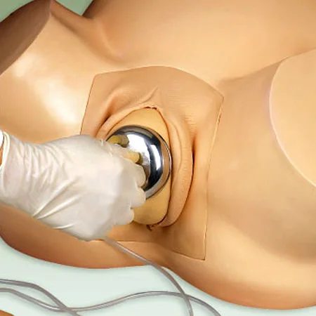 Симулятор обучения акушерству вакуумная доставка демонстрационная модель для