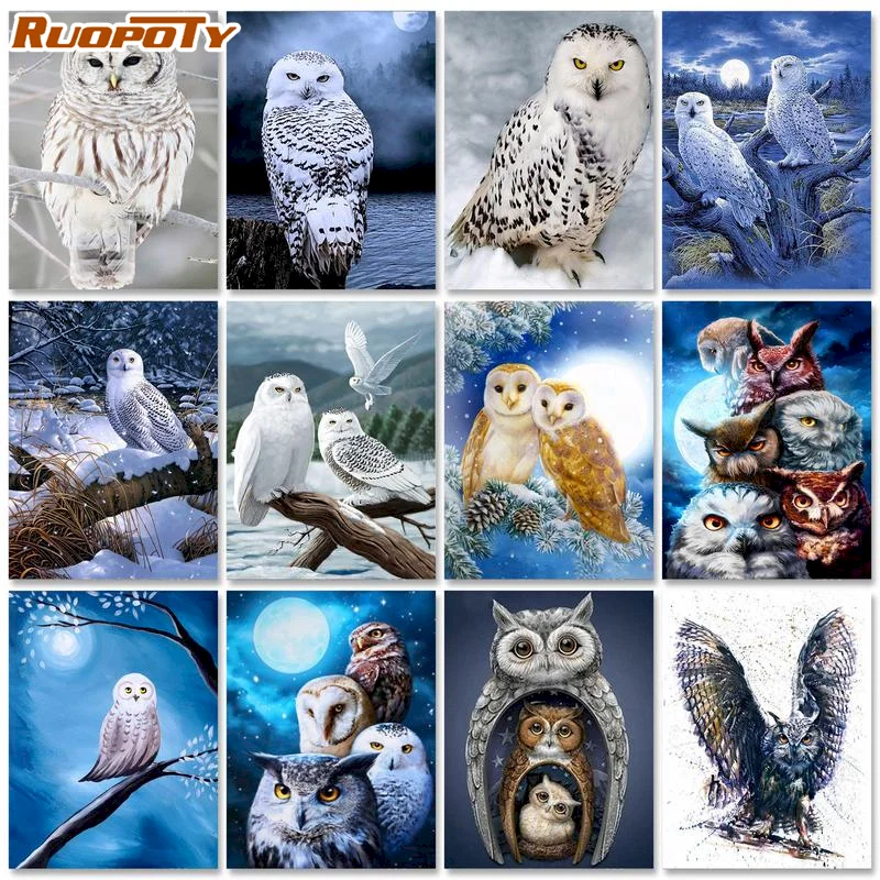 

RUOPOTY Diy Paint By Numbers Owl Unique Gift For Children Drawing By Number Animals Picture Wall Decorations Living Room