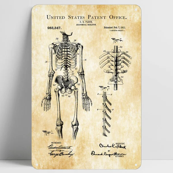 

Anatomical Skeleton Vintage Novelty Funny Tin Sign Bar Pub Home Metal Poster Wall Art Decor Poster 8"X12" 12"X16"