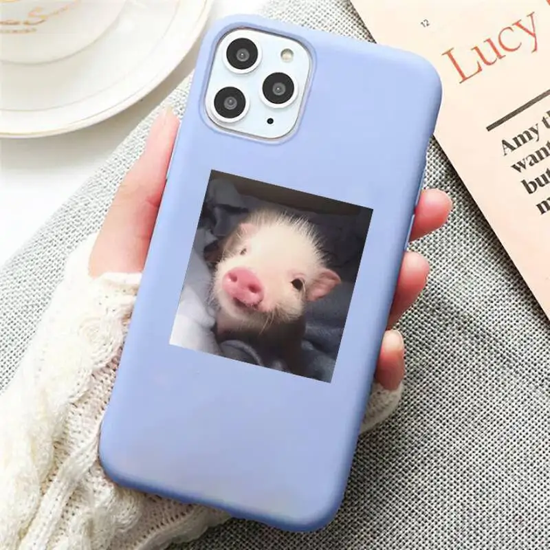

Lovely Little Pink Pet Pig animal Phone Case Candy Color for iPhone 6 7 8 11 12 s mini pro X XS XR MAX Plus