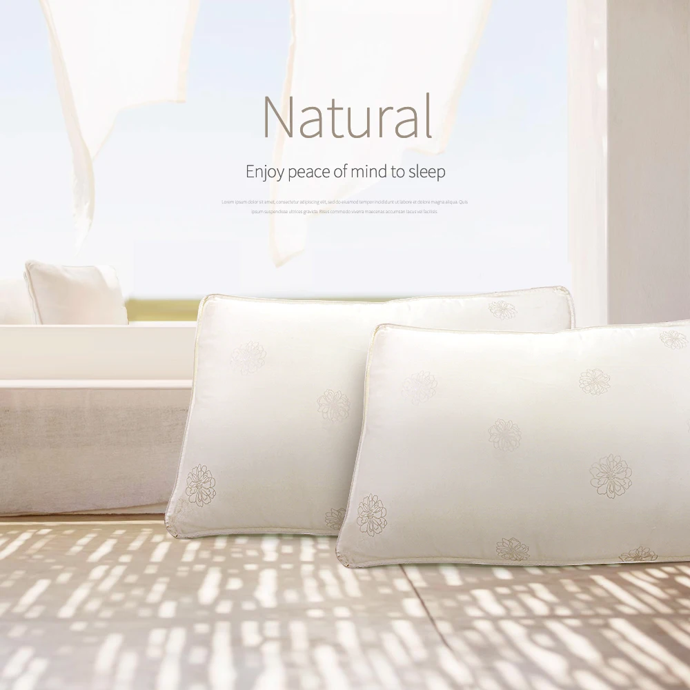 

Chinese Natural 100% Silk 1.5kg/1.8kg/2.0kg Pillows Mulberry Pillow Hotel Memory Pillow for Health Sleeping cotton pillow case