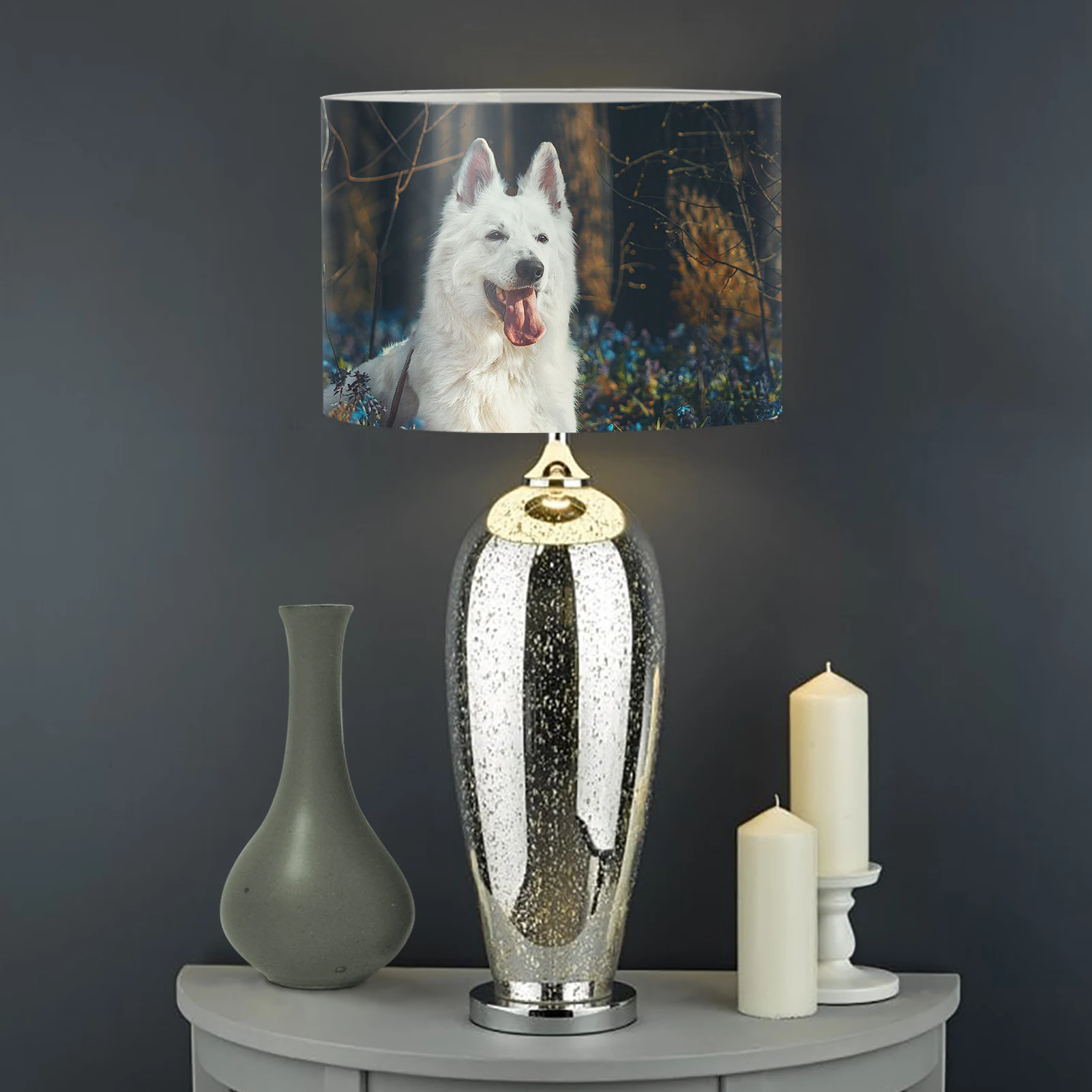 

Lighting Accessories