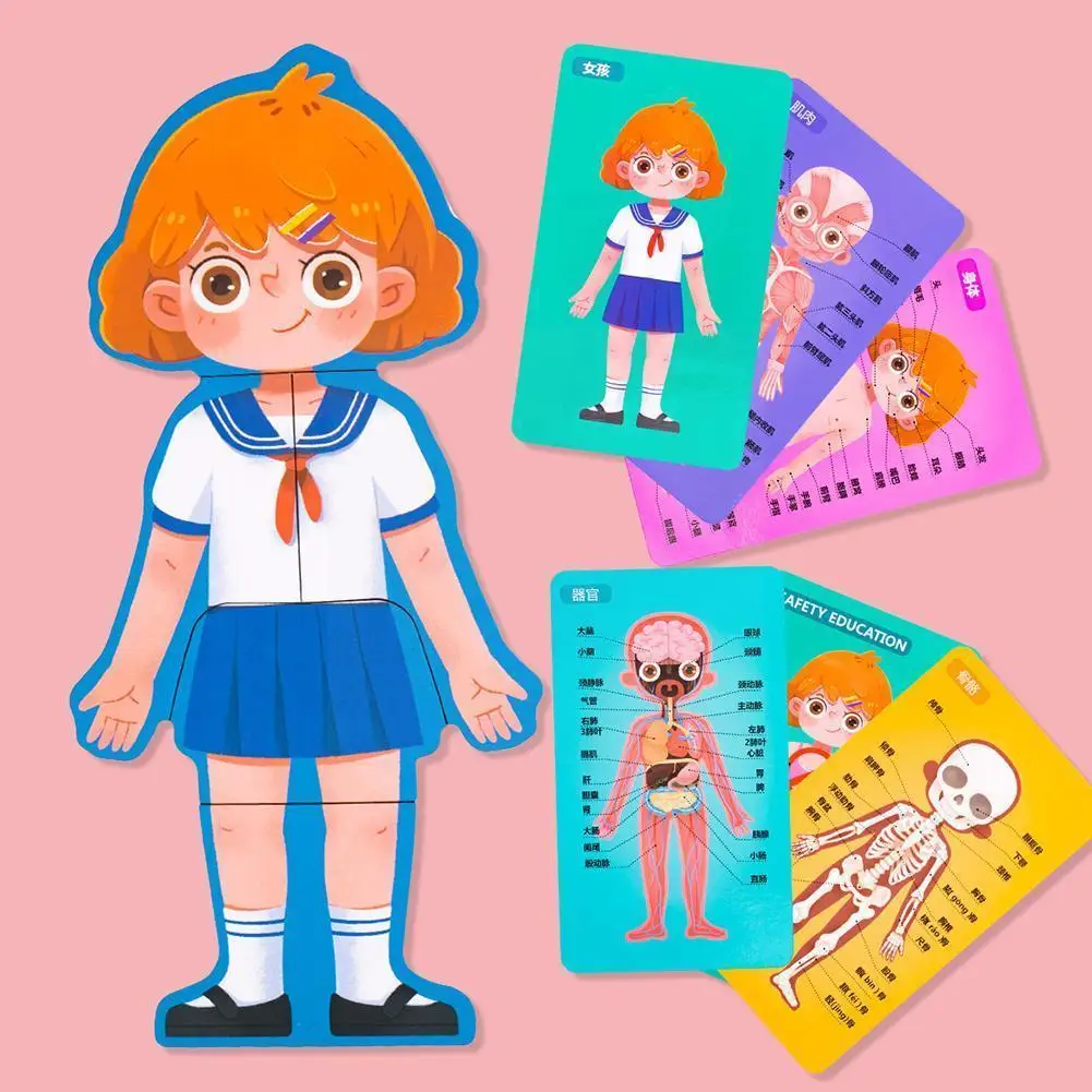 

Paper Children's Magnetic Puzzle Body Structure Training Organ Cognitive Hand-eye Association Educational Gifts Toys Human M8k0