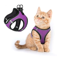 reflective cat dog harness and leash no pull colorful vest style chest nylon mesh for puppy walking training pet accessories