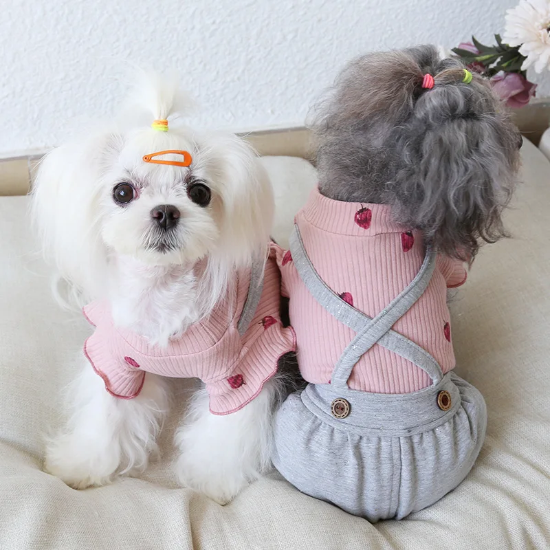 Блестящая теплая одежда для домашних питомцев с принтом клубники и летающим