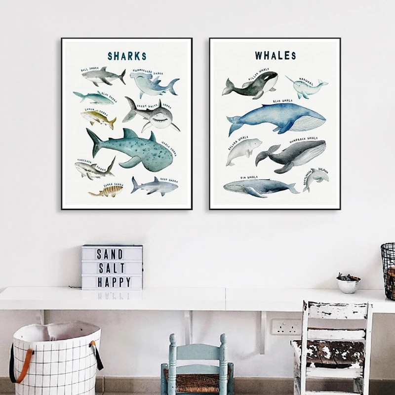 Китов и акул видов морской Животные учебный плакат океан морская Wall Art Печать