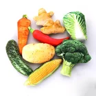 Игрушка для домашних животных, собака, плюшевая холщовая игрушка для укусов, собака С Кошачьей Мятой, вокал, креативная имитация овощей, куриная кость, игрушка для жевания, пищащая игрушка