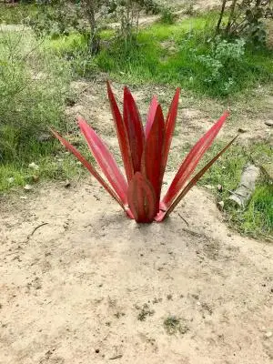 

Blue Tequila Rustic Sculpture DIY Metal Agave Plant Garden Yard Home Art Decoration Statue Home Decor Garden Figurines Yard Stak