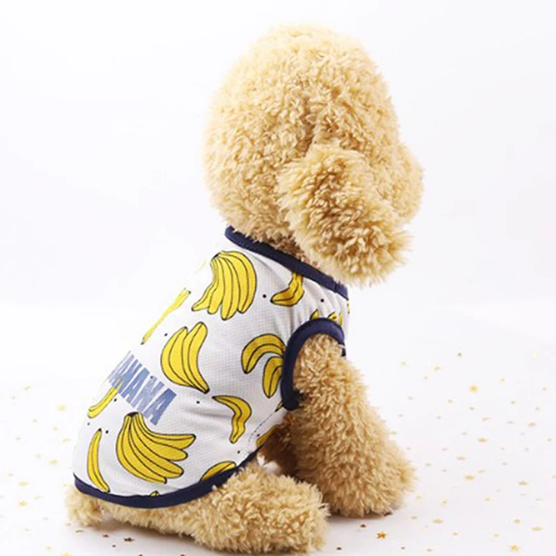 

Cute Print Small Dog Hoodie Coat Winter Warm Pet Clothes for Chihuahua Shih Tzu Sweatshirt Puppy Cat Pullover Dogs Pets Clothing