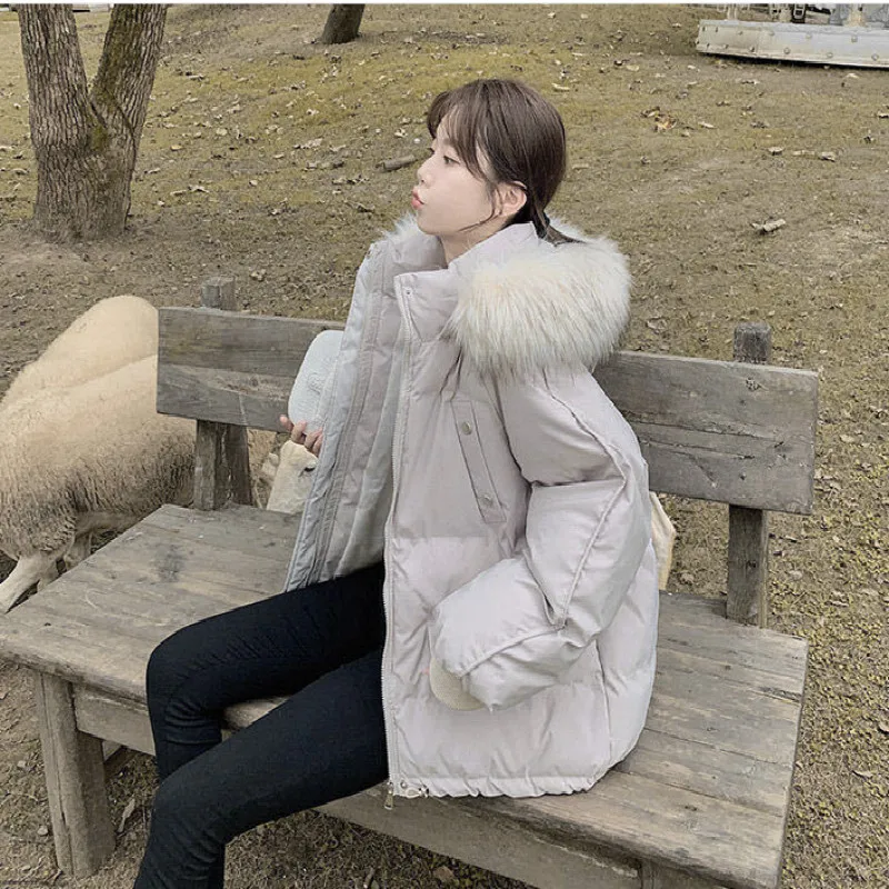 

Korean Version of Bf Loose Net Red Ins Hong Kong Style Thickened Padded Jacket 2020 Winter New Down Padded Jacket Women Fashion