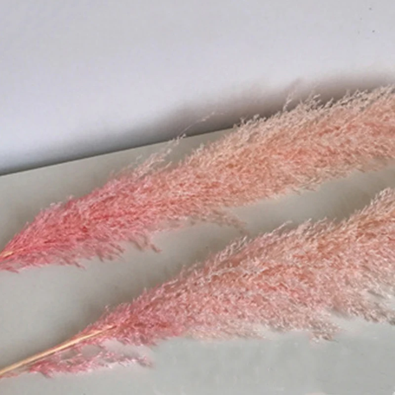 1 шт. розовый тростник труба Сушеный Цветок шипы сушеные цветы Роскошный домашний