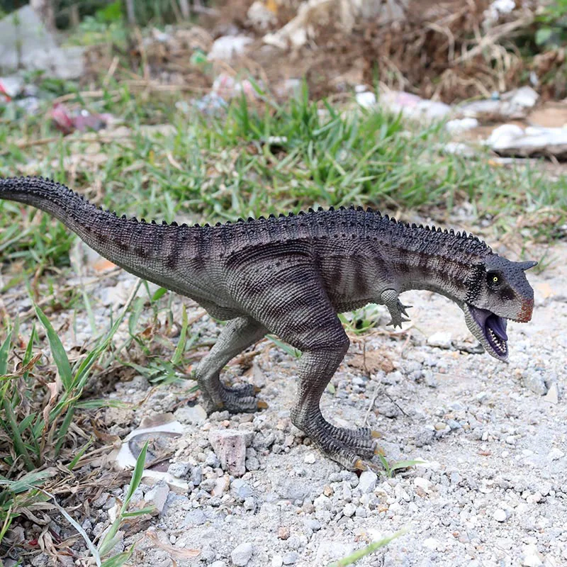 

1Pcs Original Carnivorous Carnotaurus Action Figures Savage Dinosaur Animals Model Pvc High Quality Collection Kid Toy