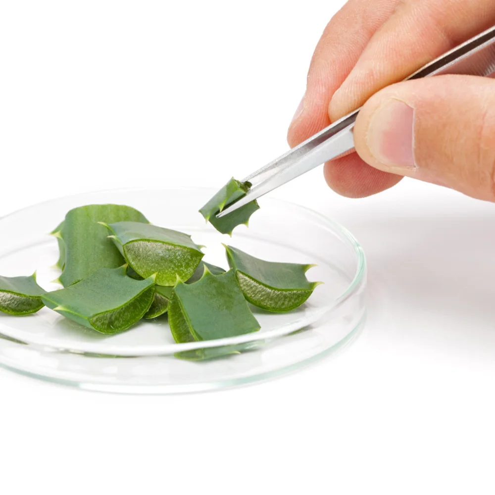 

5pcs Stainless Steel Tweezers Succulent Gardening DIY Tool Gardening Accessory