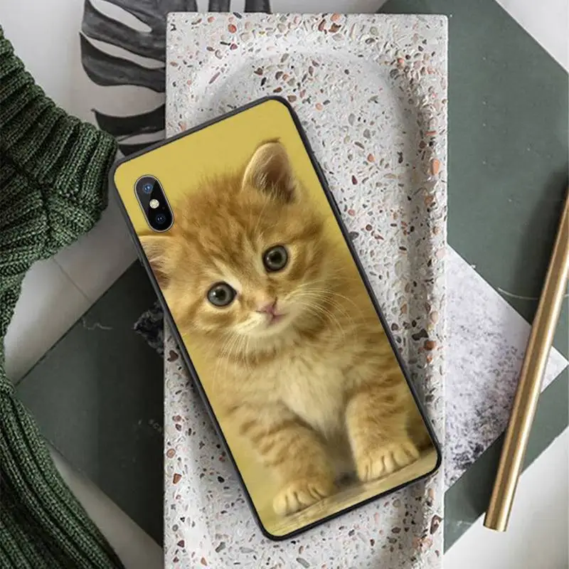

cat Cute animal pattern fashion cover Phone Case for iPhone 11 12 pro XS MAX 8 7 6 6S Plus X 5S SE 2020 XR
