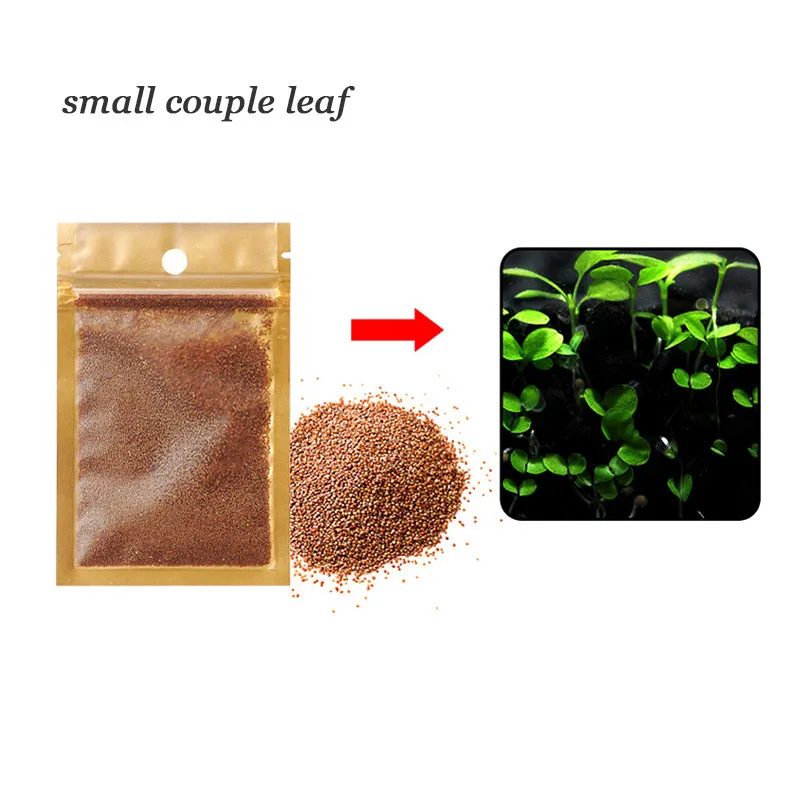 samll couple leaf Семена аквариумных растений, гелиантус, каллитрихоиды, легко растущие, аквариумные растения, растения, семена травы, аквариум, декор для лужайки - Цвет: samll couple leaf