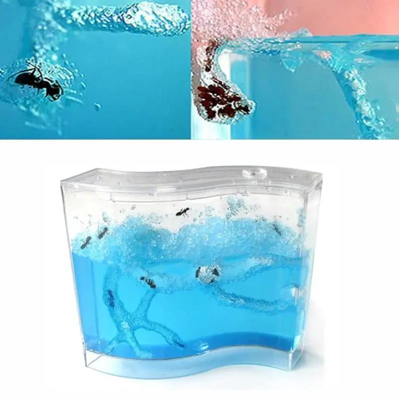 73 * 32 78mm for Live Ants Pet Supplies Toy Ant Nest House Educational Terrarium |
