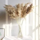 3050100 шт. натуральные свадебные цветы, пампасная трава, большой размер, пушистые, для дома, Рождественский Декор, натуральные растения, белый высушенный цветок