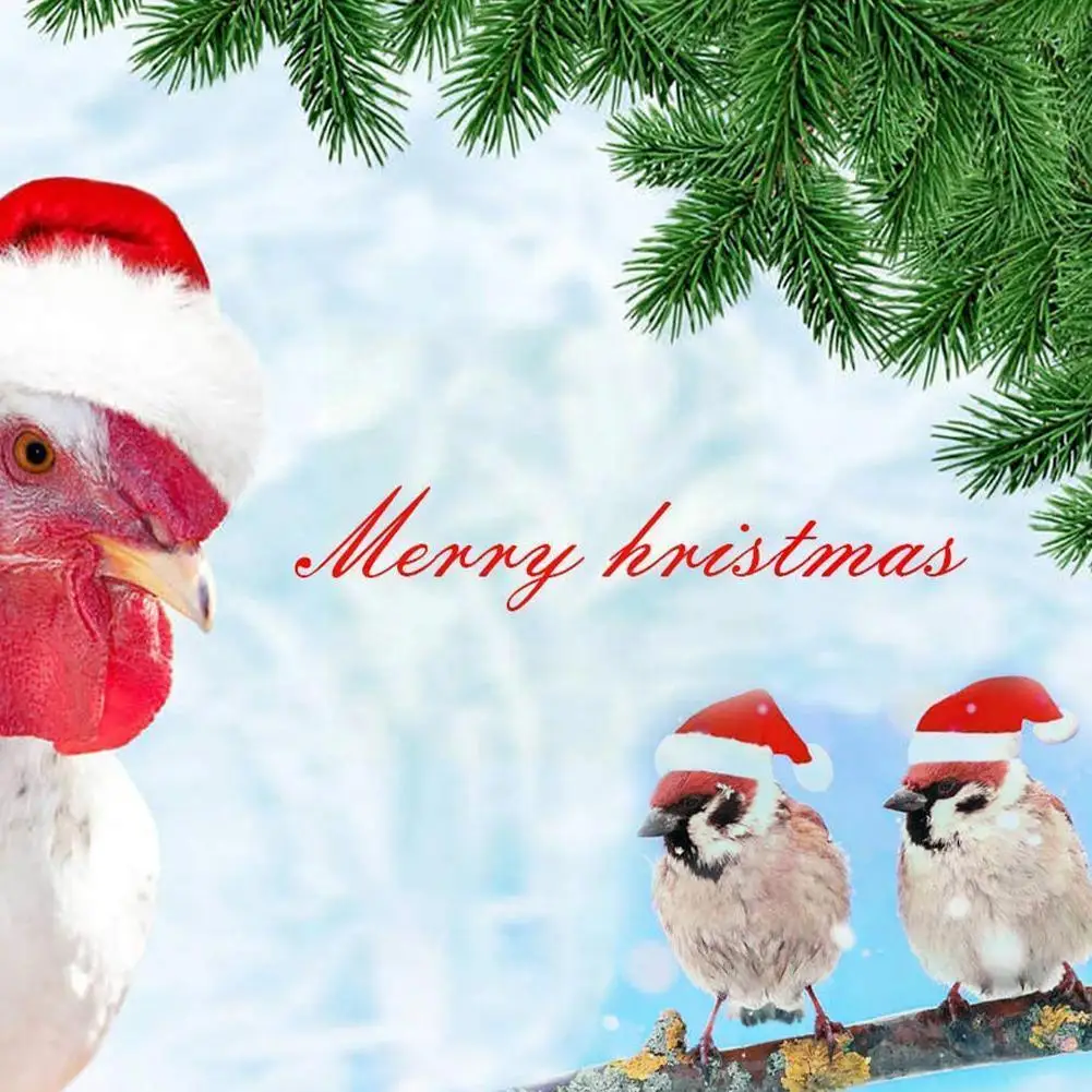 

Рождественская шляпа для домашних животных, курица, супер Маленькая рождественская шляпа, Мини шляпа, Рождественская декоративная мини-шля...