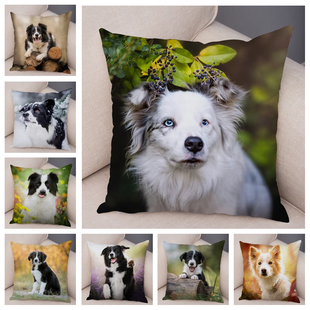 

Scotland Border Collie Cushion Cover Pillowcase for Sofa Car Decor Cute Pet Animal Dog Printed Soft Plush Pillow Case 45*45cm