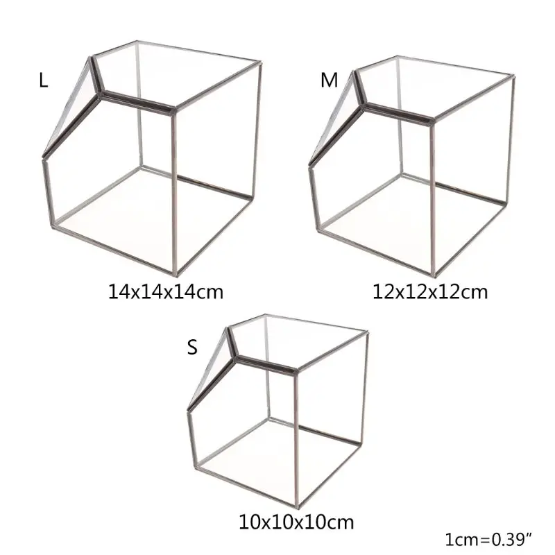 Современный стеклянный контейнер для хранения террариума прозрачный