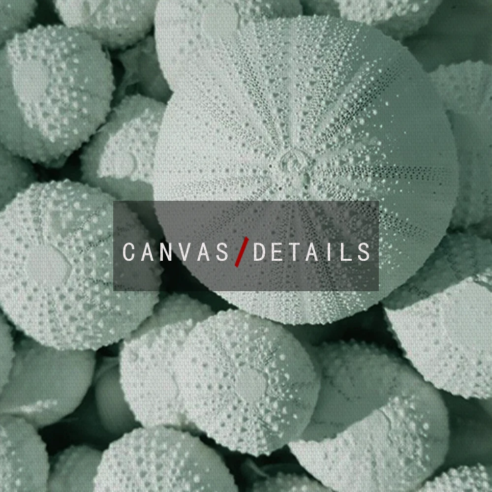 Мятно зеленые растения искусство холст постеры и принты скандинавский простой