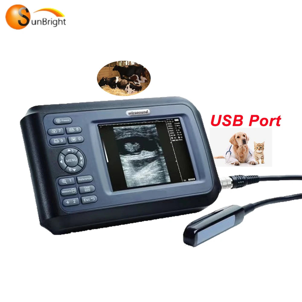 

Cheap Price Handheld Vet Ultrasound Scanner SUN-808F for Sale