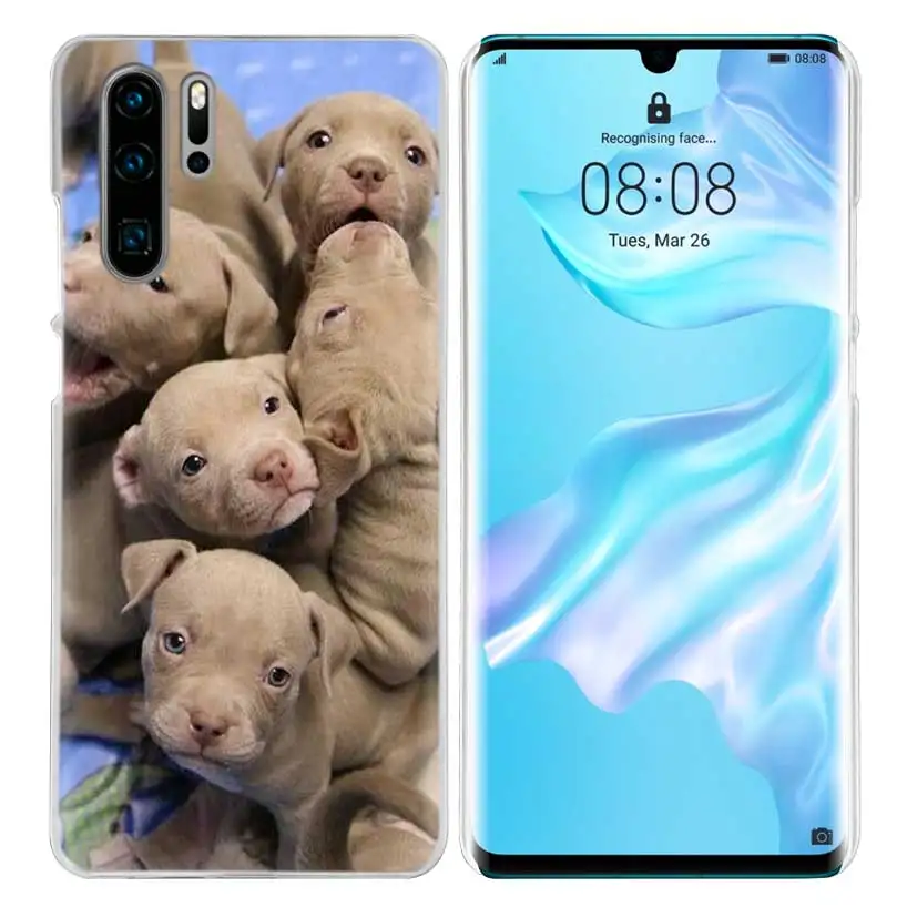 Французский бульдог чехол для huawei mate 30 20 10 P20 P30 Lite Pro P Smart Y9 Prime Honor 8A 8X 10i PC Чехлы для телефона