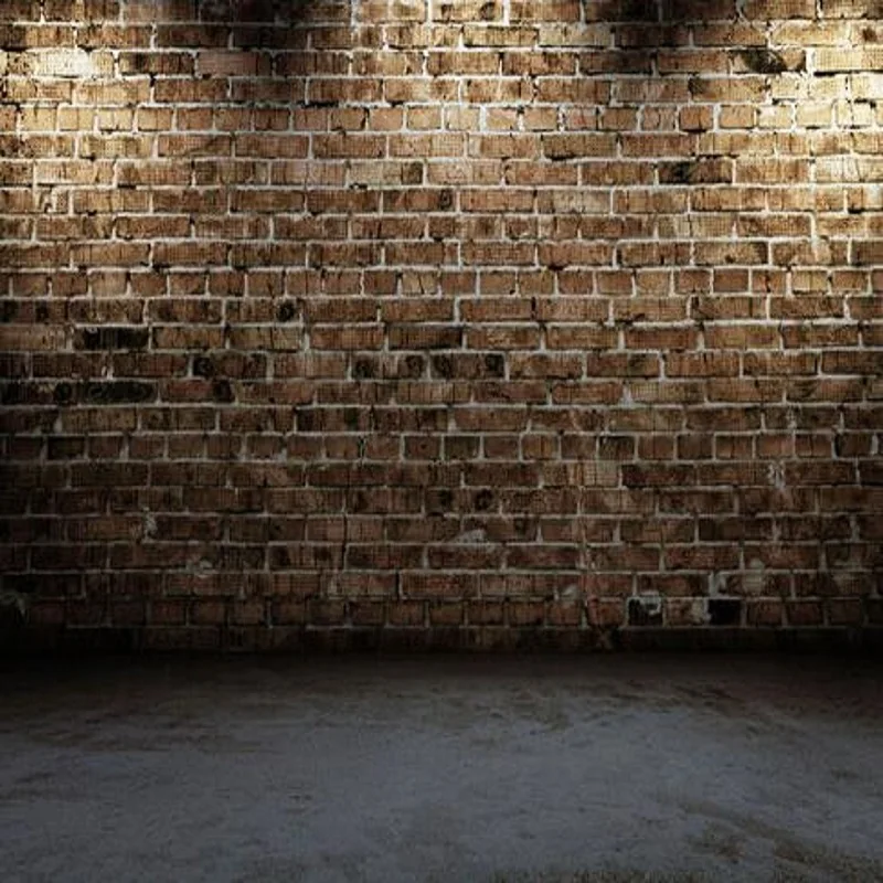 Nitree винил Подставки для фотографий Фотофон галереи свадебные фото кирпичная