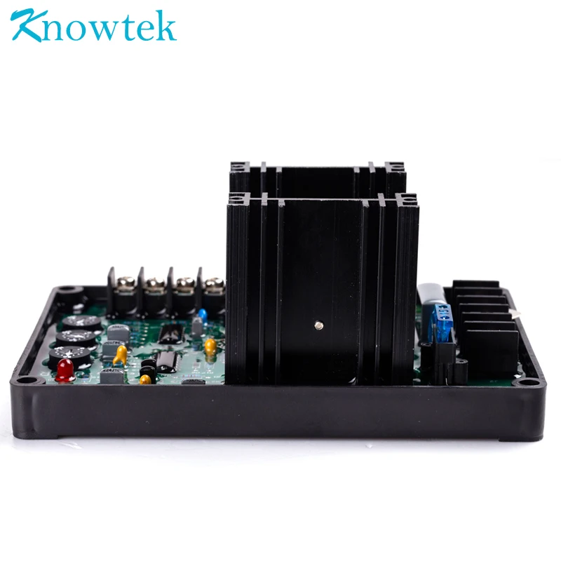 Универсальный бесшумный автоматический регулятор напряжения для генератора 20A |