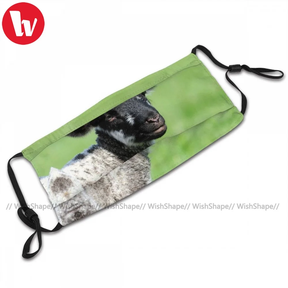 

Pattern Reusable Lamb Face Mask Fashion Unisex Cloth Facial Mouth Mask With Filter