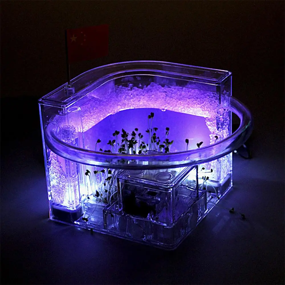 Муравьиная ферма домик для муравьев игрушка домашних животных светящееся