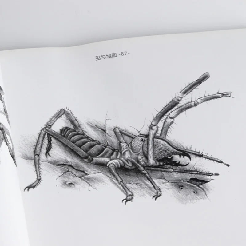 Новинка чёрная эскизная тату-книжка А4 с рисунком черепа бесплатная доставка |